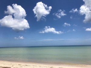 Lotes de playa en Chicxulub Puerto