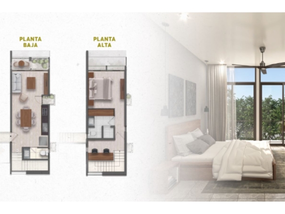584
